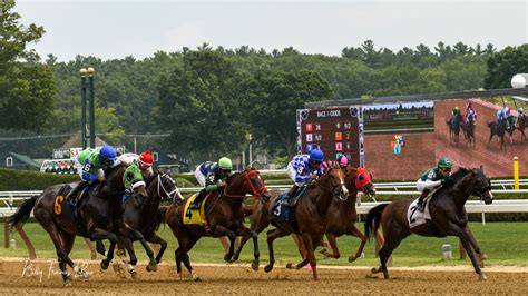 Nyra Bets Menu. . Saratoga entries